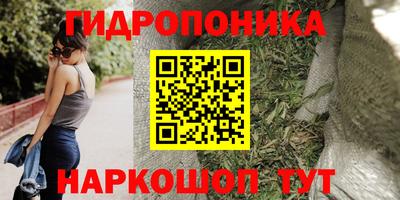 кокс Будённовск
