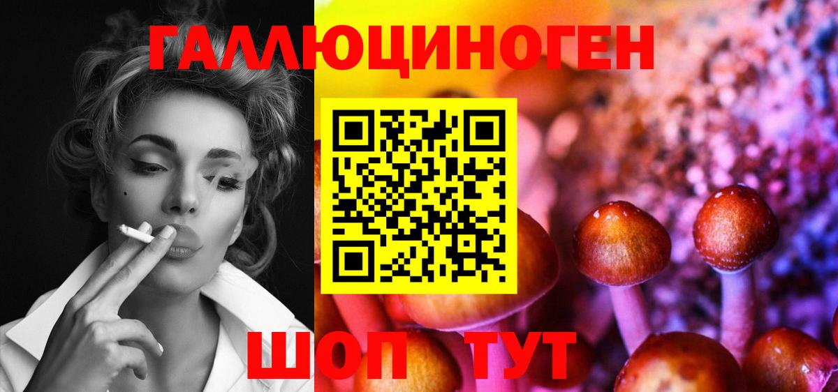 Конаково  Галлюциногенные грибы Psilocybine cubensis  Вход с VPN 